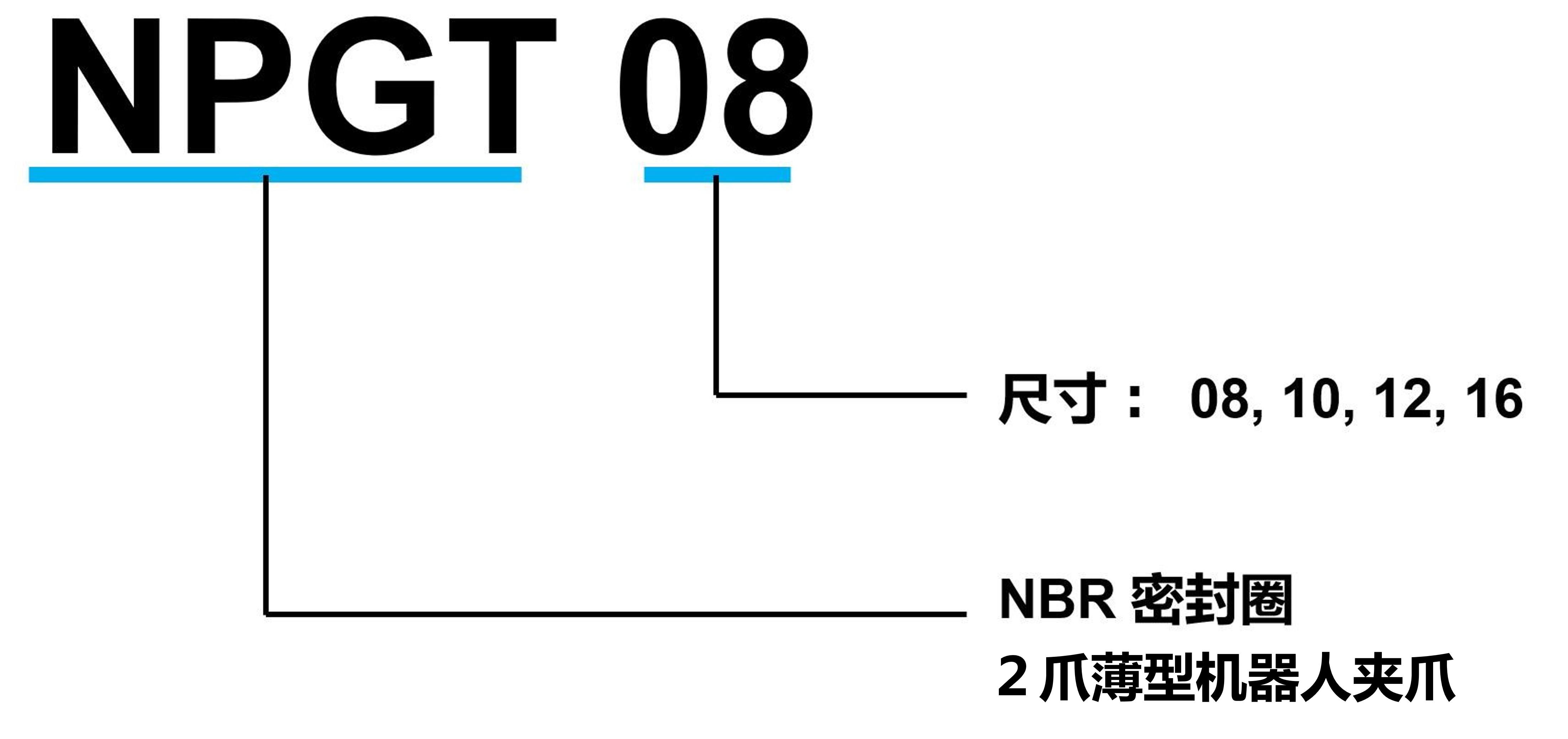 NPGT系列