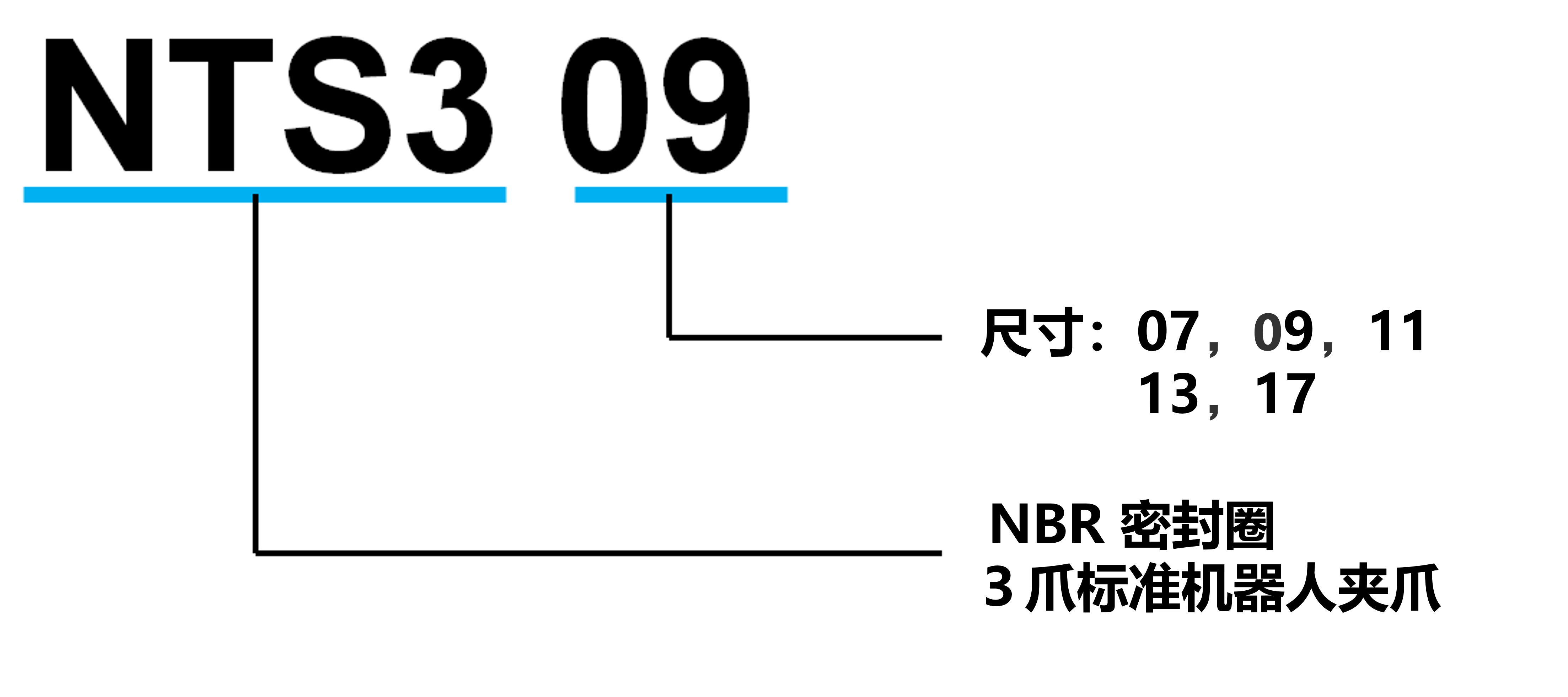 NTS3系列